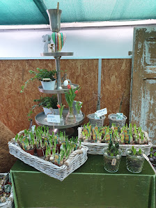Blumen Eisenhuth