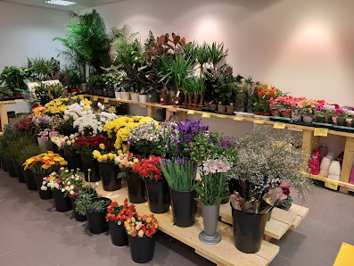 PROFiFLORA