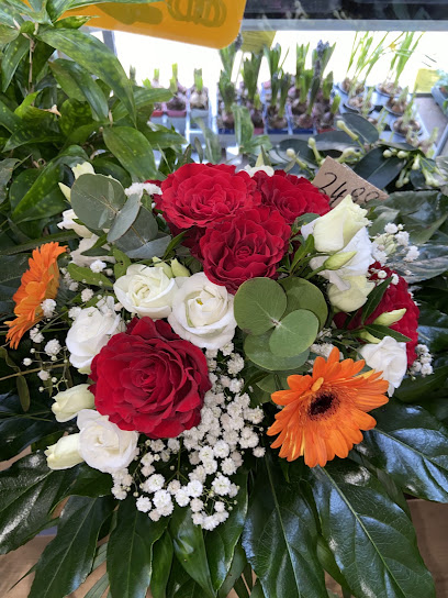 PROFiFLORA
