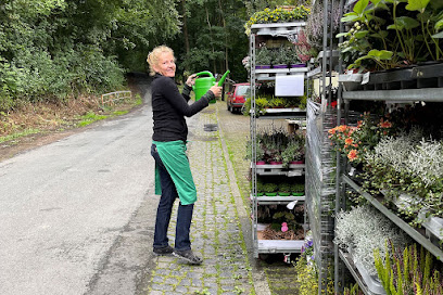 floral design Tanja Knierim