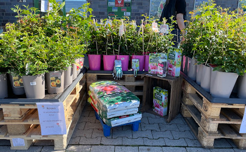 Raiffeisen-Markt Barnstorf