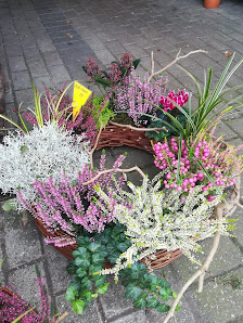 Blumen Gels