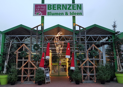 BERNZEN GmbH & Co. KG