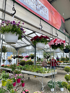 Blumen Lindner