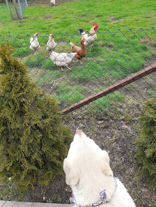 Fehners Ranch