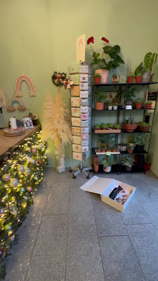 März Floristik