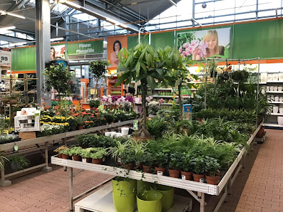 OBI Gartencenter Lindlar