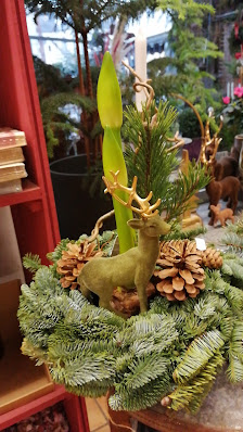 Blumen & Ambiente Hoffmeister