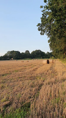 Mund Garten- und Landschaftsgestaltung GmbH