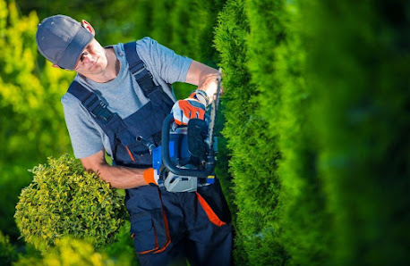Garten und Landschaftsbau Weseloh Schneverdingen