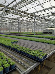 Gartenbau Hermann und Hedwig Brelage GbR