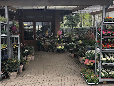 Blumen Schneider