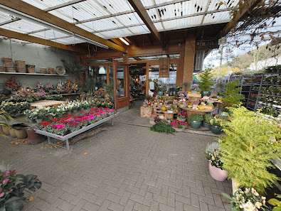 Blumen Schneider