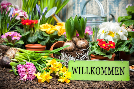 Ulrike Wolf Blumen - Floristik - Grabpflege