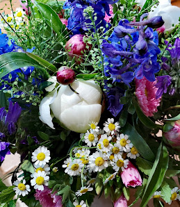 Blumen Müller
