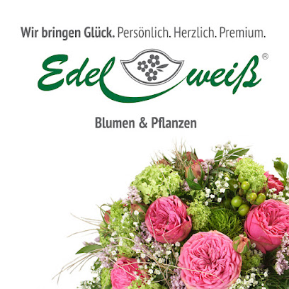 Northeim