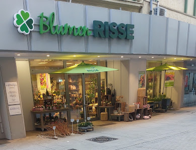 Blumen Risse Blumenladen Osnabrück