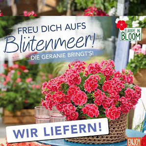Floristik-Gärtnerei Matthias Maas