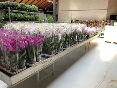 DER BLUMENFREUND