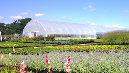 Gartenbau Koldehoff | Vechta-Calveslage