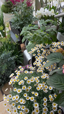 Blumen Mallmann