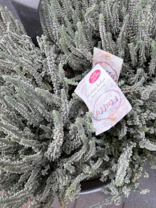 Blumen Mallmann