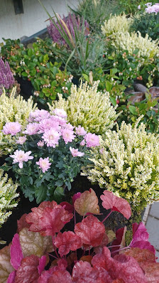 GarNa; Garten und Natur