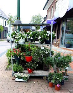 Blumen Mecking