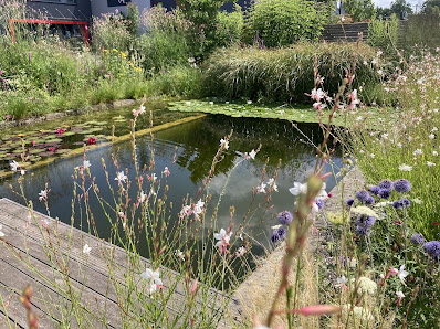 Halbmeier Gartengestaltung