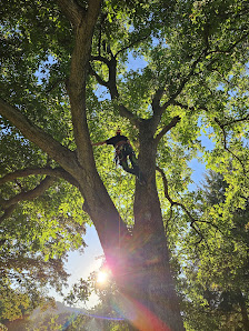 Garten Liebe Sauerland Inh. Nicolai Zecher