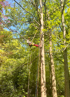 Garten Liebe Sauerland Inh. Nicolai Zecher