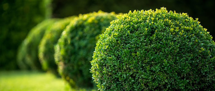 Die Gartenidee - Garten und Landschaftsbau GmbH