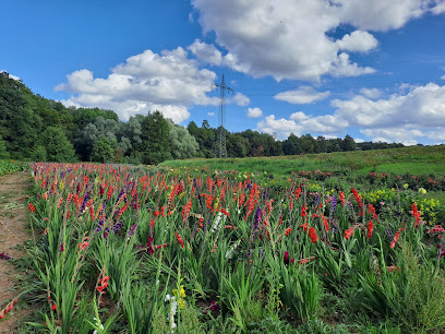 Blumen selber pflücken