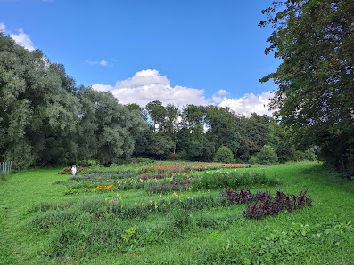 Blumen selber pflücken