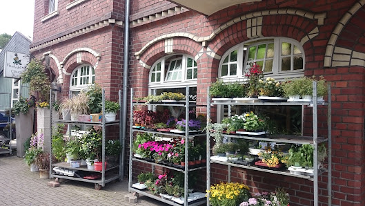 Blumenladen Pusteblume