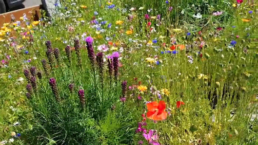 Gartenbaubetrieb Barbian