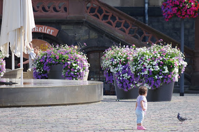 Flower and Shower GmbH