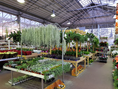 Gartencenter Breuer GmbH & Co. KG
