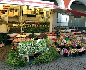 Blumen Bauer Soest