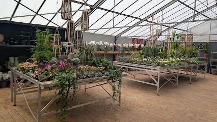 Blumen Holtappels