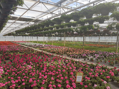 Gartenbau van de Meer Kevelaer