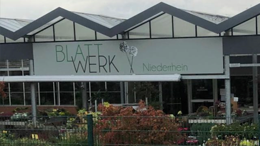 Blattwerk Niederrhein