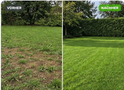 RheinGrün Gartenservice