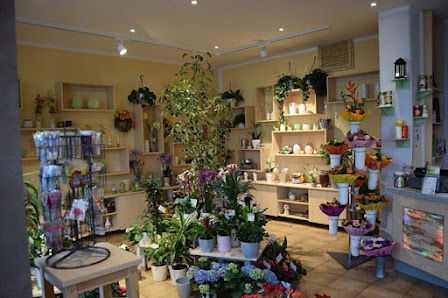 Blumenhaus Lutz