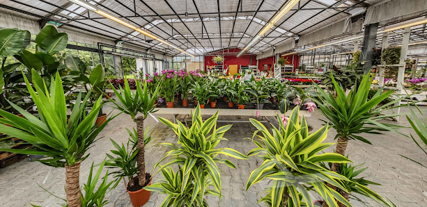 Zimmers Gartenland