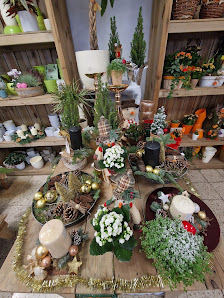 Alice im Blumenland