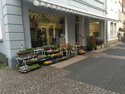 Blumen-Paradies Mehmet Canbolat