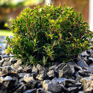 Gartenpflege Klaßen