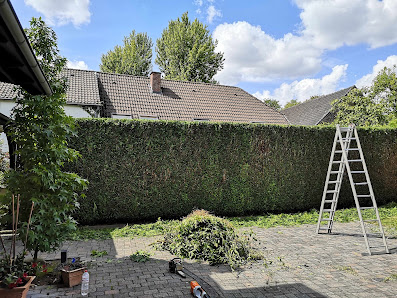 Daniel Julian Hodapp - greencare Grünpflege & Gartengestaltung