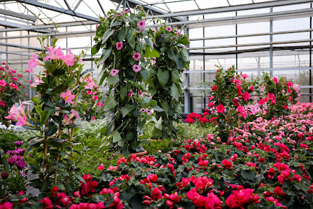 Langes Blumenhof